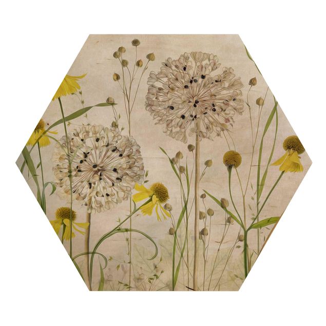 cuadro hexagonal Allium And Helenium Illustration