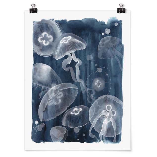 Cuadros animales Moon Jellyfish I
