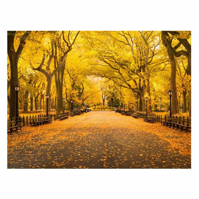 Cuadros Nueva York Autumn In Central Park