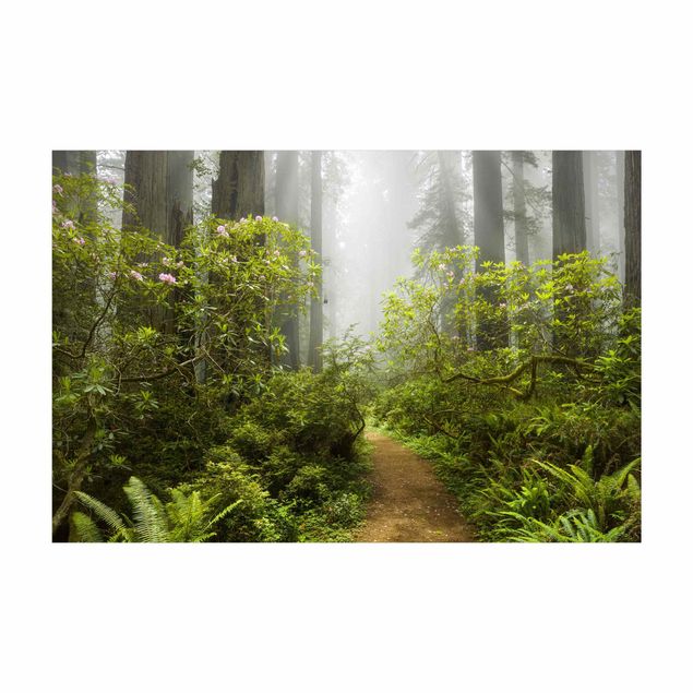 Alfombras color verde Misty Forest Path
