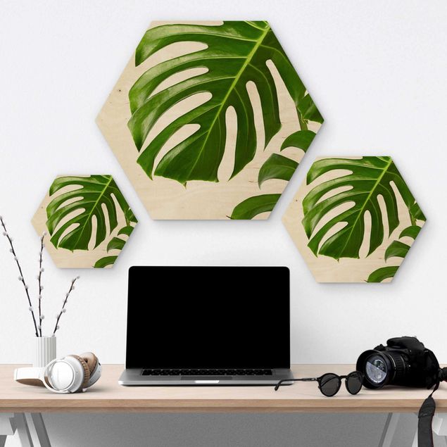 Hexagon Bild Holz - Grüne Blätter Monstera