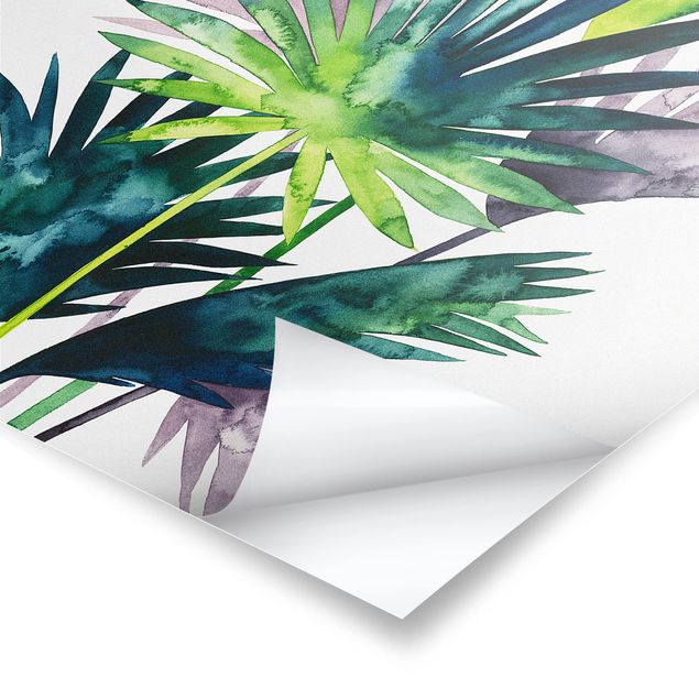 Láminas decorativas para pared Exotic Foliage - Fan Palm