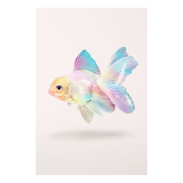 Cuadros de peces modernos Fish In Pastel