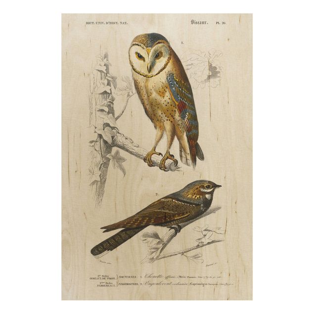 cuadros de madera vintage Vintage Board Owl And Swallow