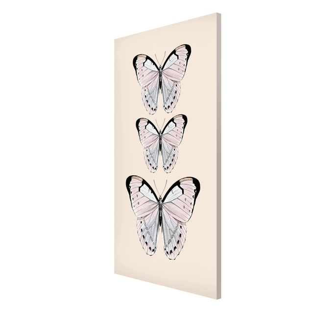 Tableros magnéticos animales Butterfly On Beige