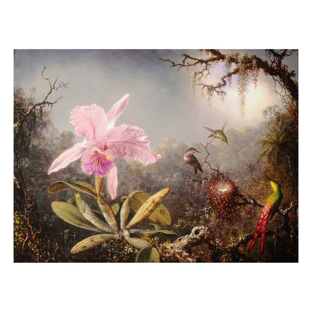 Decoración cocina Martin Johnson Heade - Orchid And Three Hummingbirds