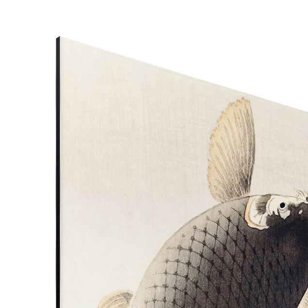 Cuadros de animales Vintage Illustration Asian Fish II