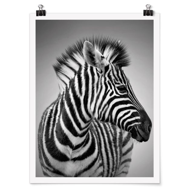 Láminas animales Zebra Baby Portrait II