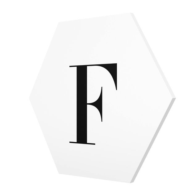 cuadro hexagonal Letter Serif White F