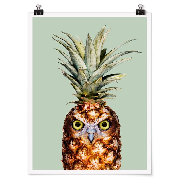 Láminas animales Pineapple With Owl
