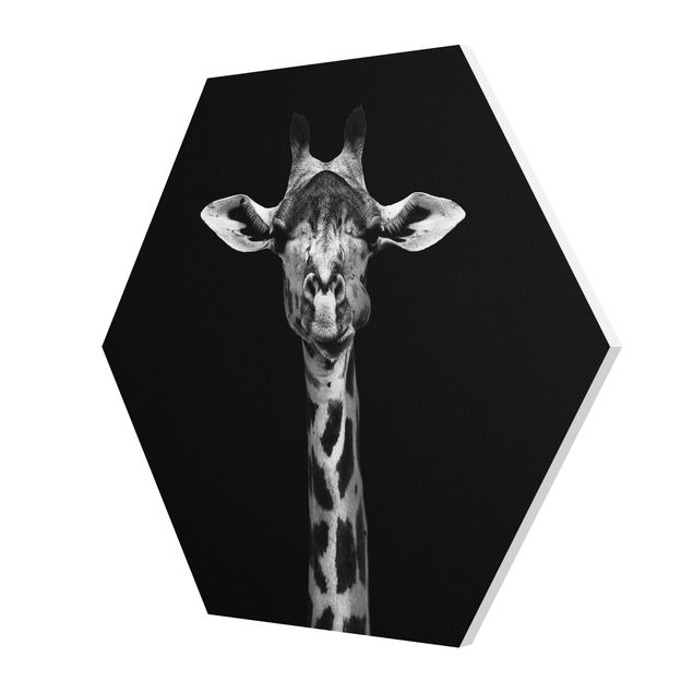 Cuadros modernos blanco y negro Dark Giraffe Portrait