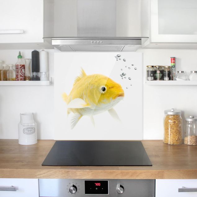 Salpicadero cocina cristal Goldfish Yellow