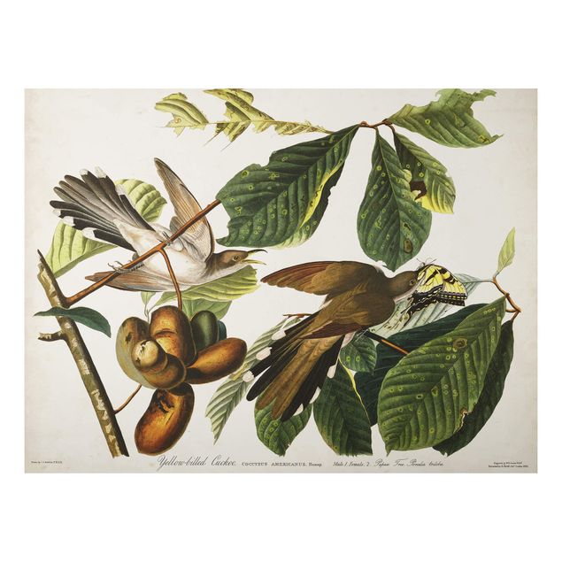 Cuadros de plantas naturales Vintage Board Cuckoo II