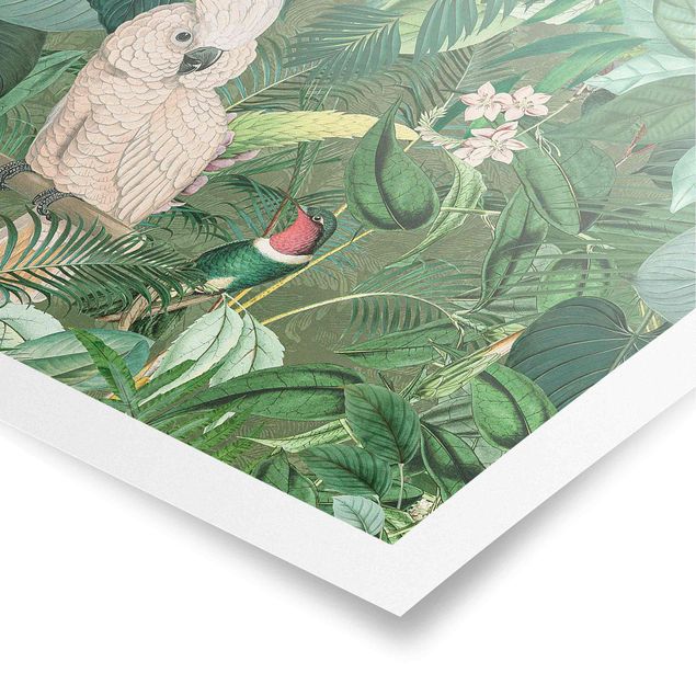 Cuadros verdes Vintage Collage - Kakadu And Hummingbird