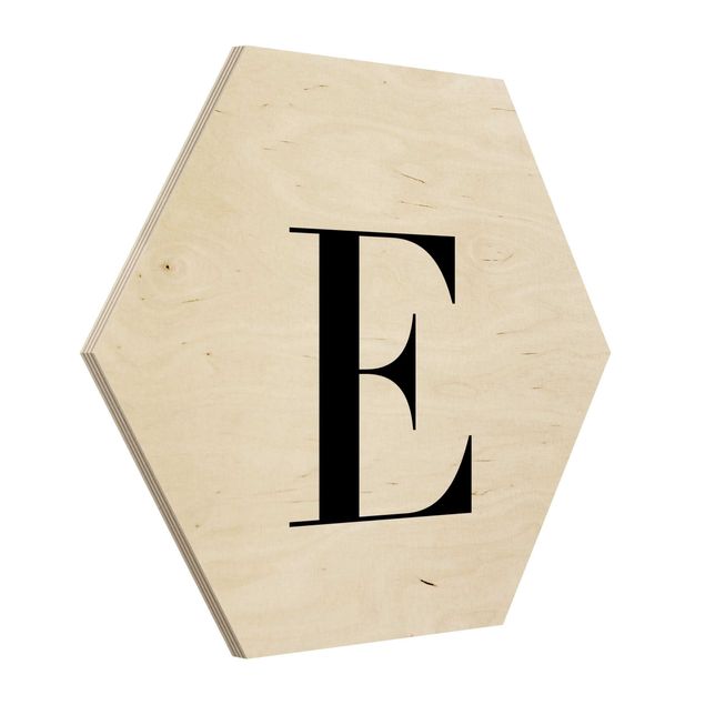 cuadro hexagonal Letter Serif White E