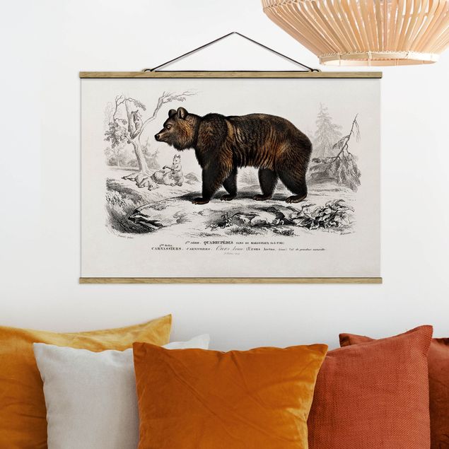 Cuadros osos Vintage Board Brown Bear