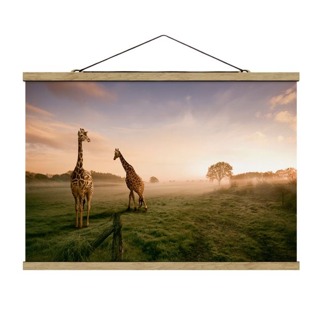 Cuadros paisajes naturaleza Surreal Giraffes