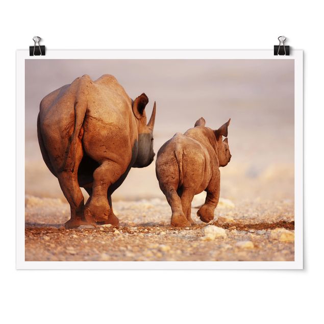 Cuadros modernos Wandering Rhinos