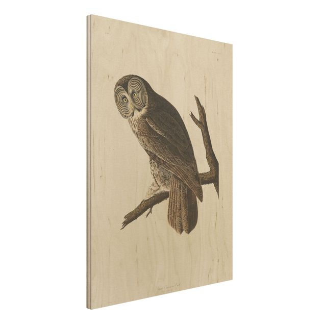 Decoración de cocinas Vintage Board Great Owl