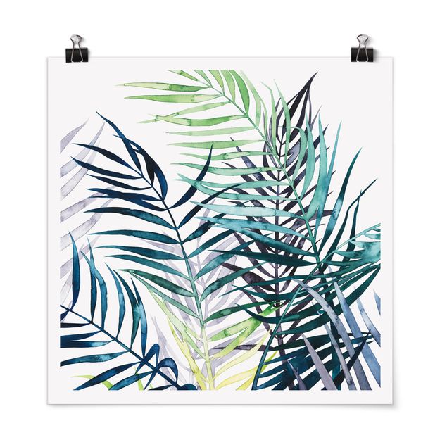 Cuadros de plantas Exotic Foliage - Palme