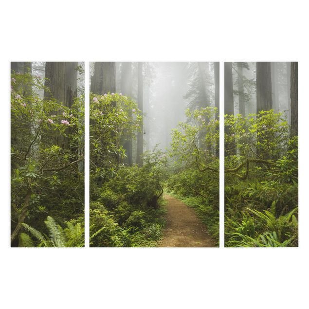 Lienzos de bosques Misty Forest Path