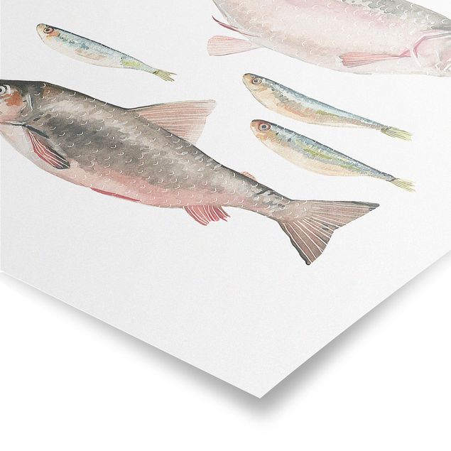 Cuadros infantiles animales Seven Fish In Watercolour I