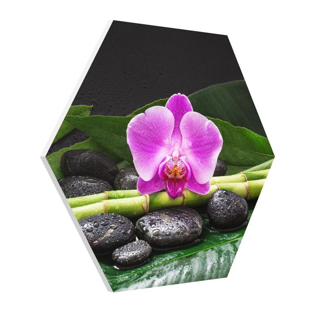 Cuadros plantas Green Bamboo With Orchid Blossom