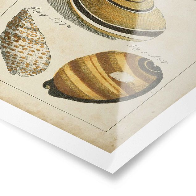 Póster de playas Vintage Worm Drawing Yellow