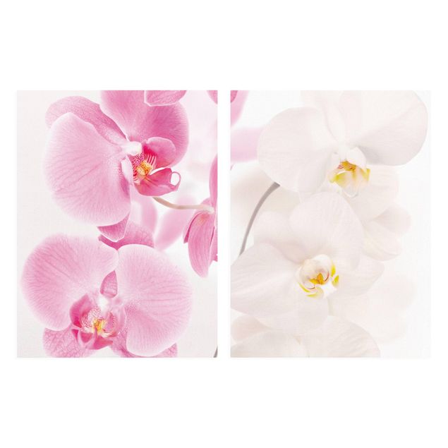 Lienzos flores Delicate Orchids