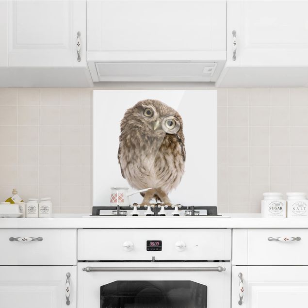 Paneles de vidrio para cocinas Curious Owl
