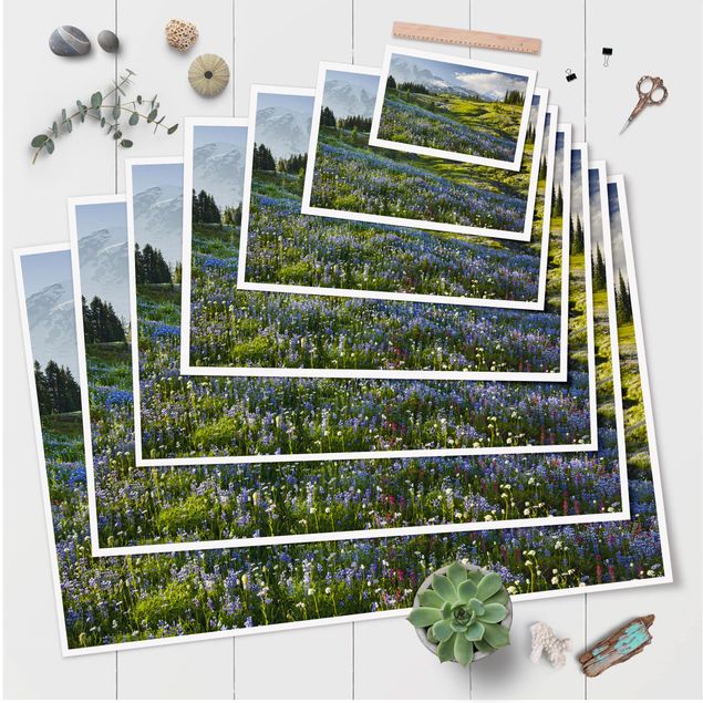 Cuadros en tonos azules Mountain Meadow With Flowers In Front Of Mt. Rainier