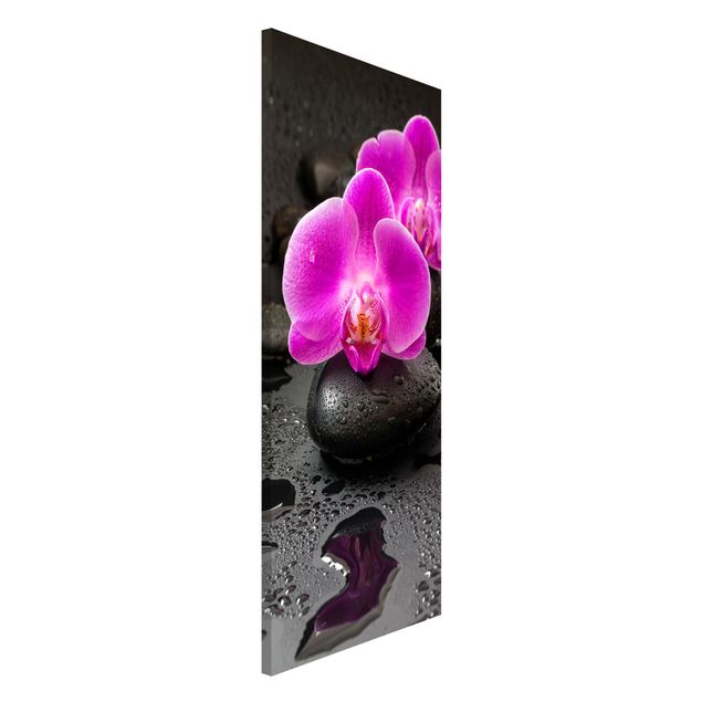 Cuadros de orquideas Pink Orchid Flower On Stones With Drops