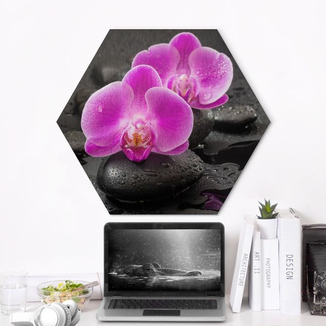 Cuadros con orquideas Pink Orchid Flower On Stones With Drops