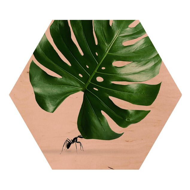 Cuadros decorativos Ant With Monstera Leaf