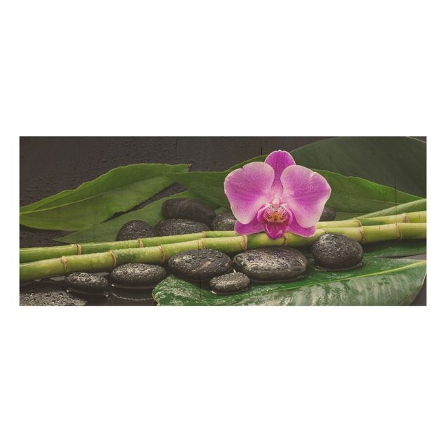 Cuadros de madera flores Green Bamboo With Orchid Flower
