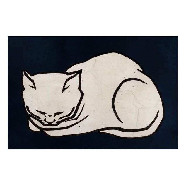 Cuadro con gato Sleeping Cat Illustration