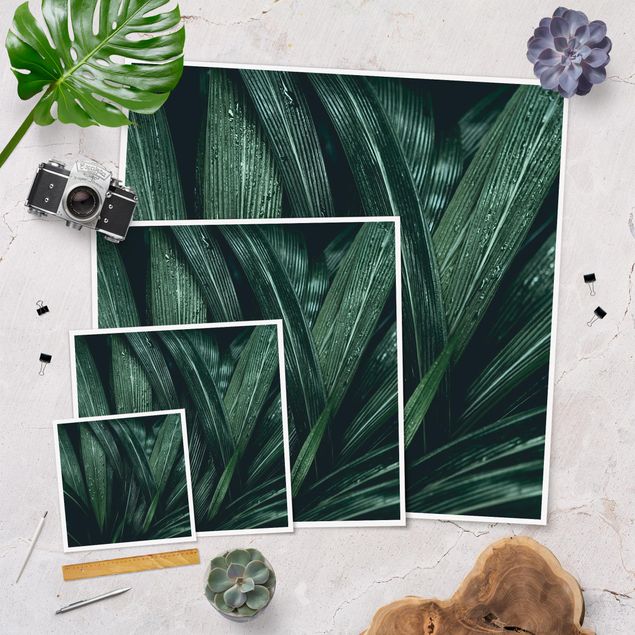 Láminas decorativas para pared Green Palm Leaves