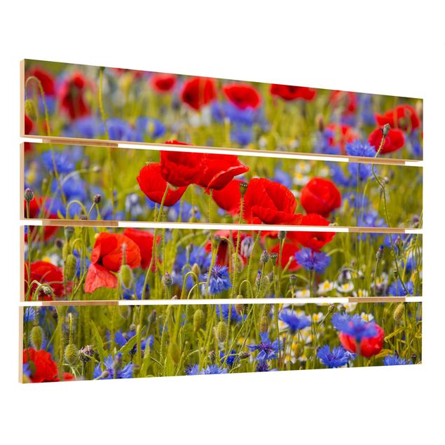 Cuadros en madera Summer Meadow With Poppies And Cornflowers