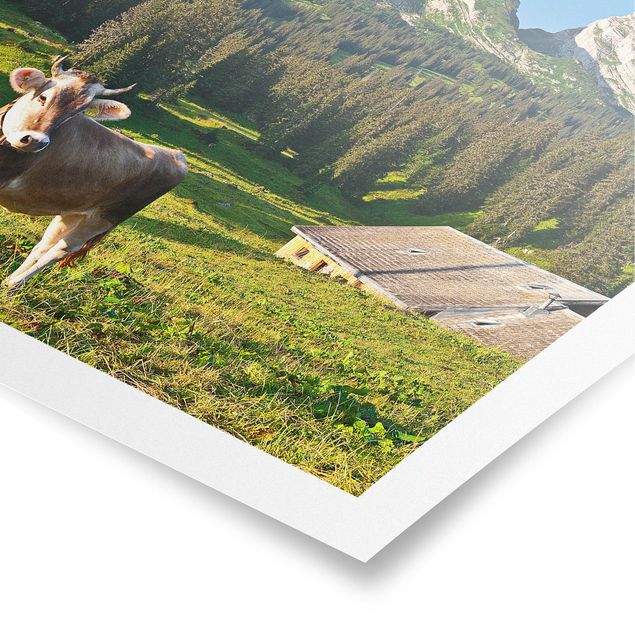 Cuadros de montañas Swiss Alpine Meadow With Cow