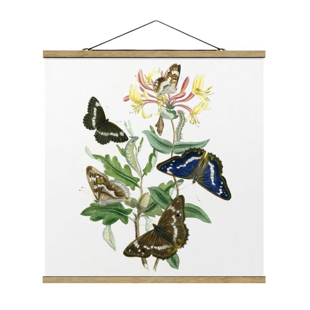 Cuadros de flores modernos British Butterflies IV