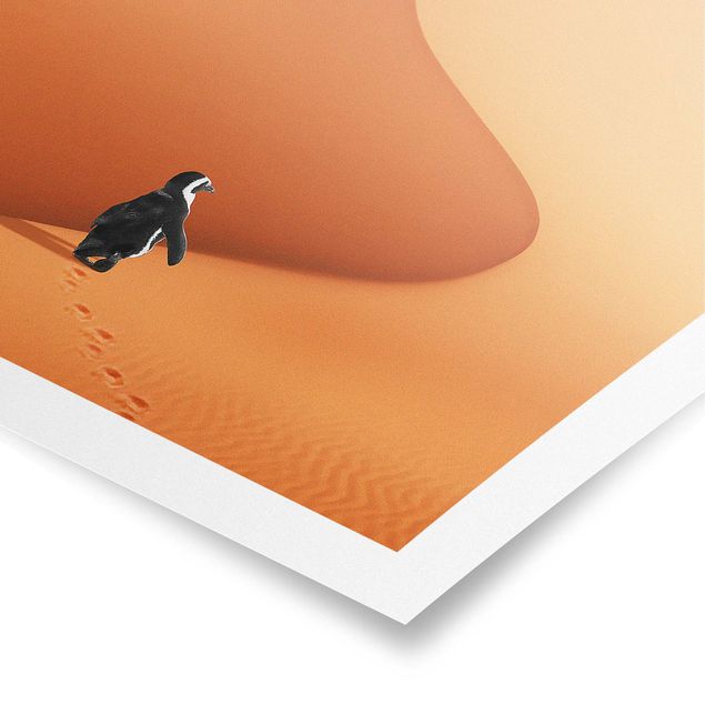 Póster animales Desert With Penguin