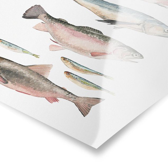 Cuadros con frases motivadoras Seven Fish In Watercolour I