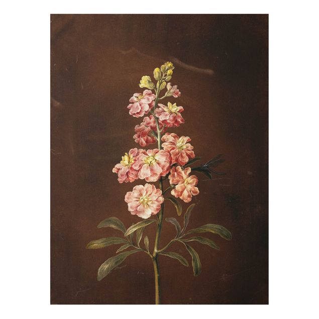 Reproducciones de cuadros Barbara Regina Dietzsch - A Light Pink Gillyflower