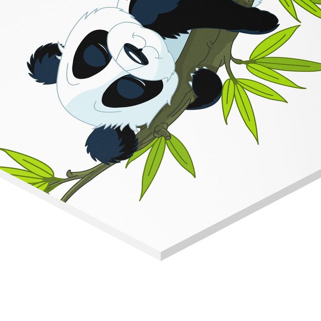Cuadros naturaleza Panda set