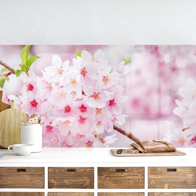 Decoración en la cocina Japanese Cherry Blossoms