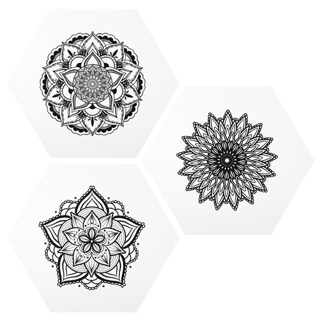 Cuadros espirituales  Mandala Flower Sun Illustration Set Black And White