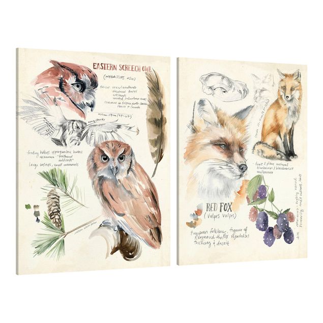 Cuadros flores Wilderness Journal Owl And Fox Set I