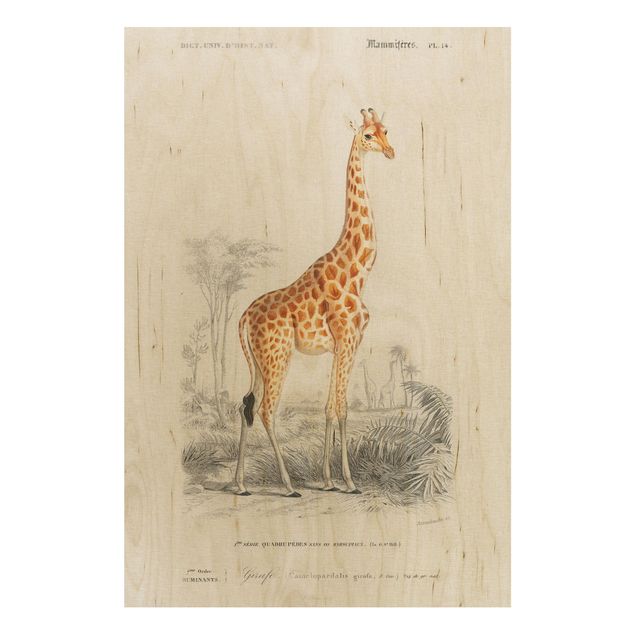 cuadro vintage madera Vintage Board Giraffe