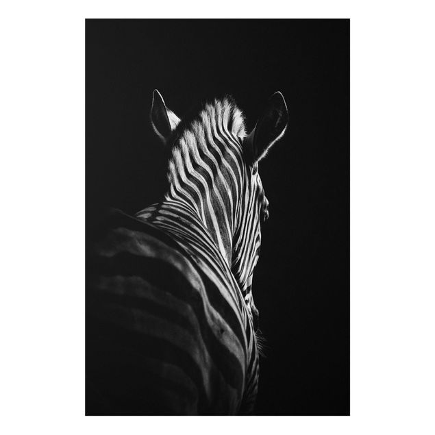 Cuadros cebras Dark Zebra Silhouette