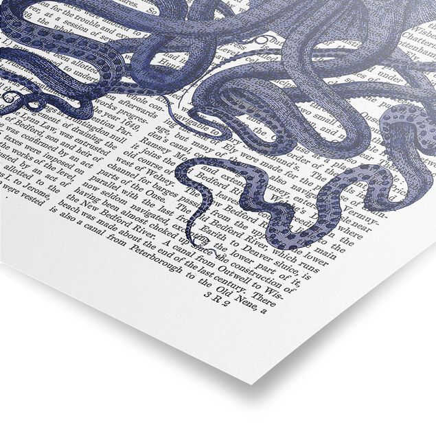 Cuadros azules Animal Reading - Octopus
